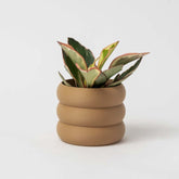 Cache-pot éco-responsable en impression 3D, fabriqué au Québec
